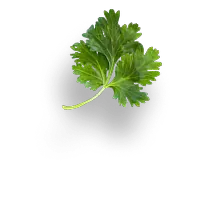 Floating ingredient