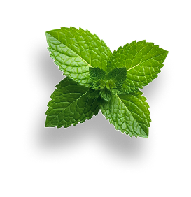Cup 2