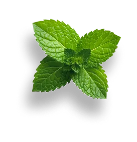 Cup 2